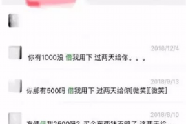 怒江为什么选择专业追讨公司来处理您的债务纠纷？